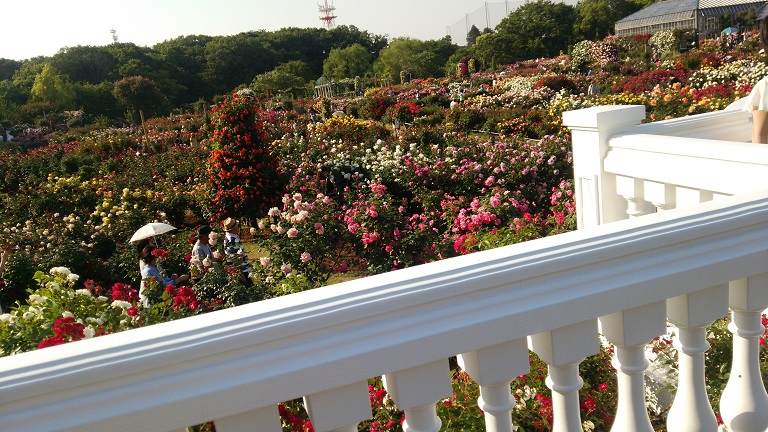 f0002833_10291792.jpg
