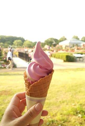 f0002833_10374049.jpg