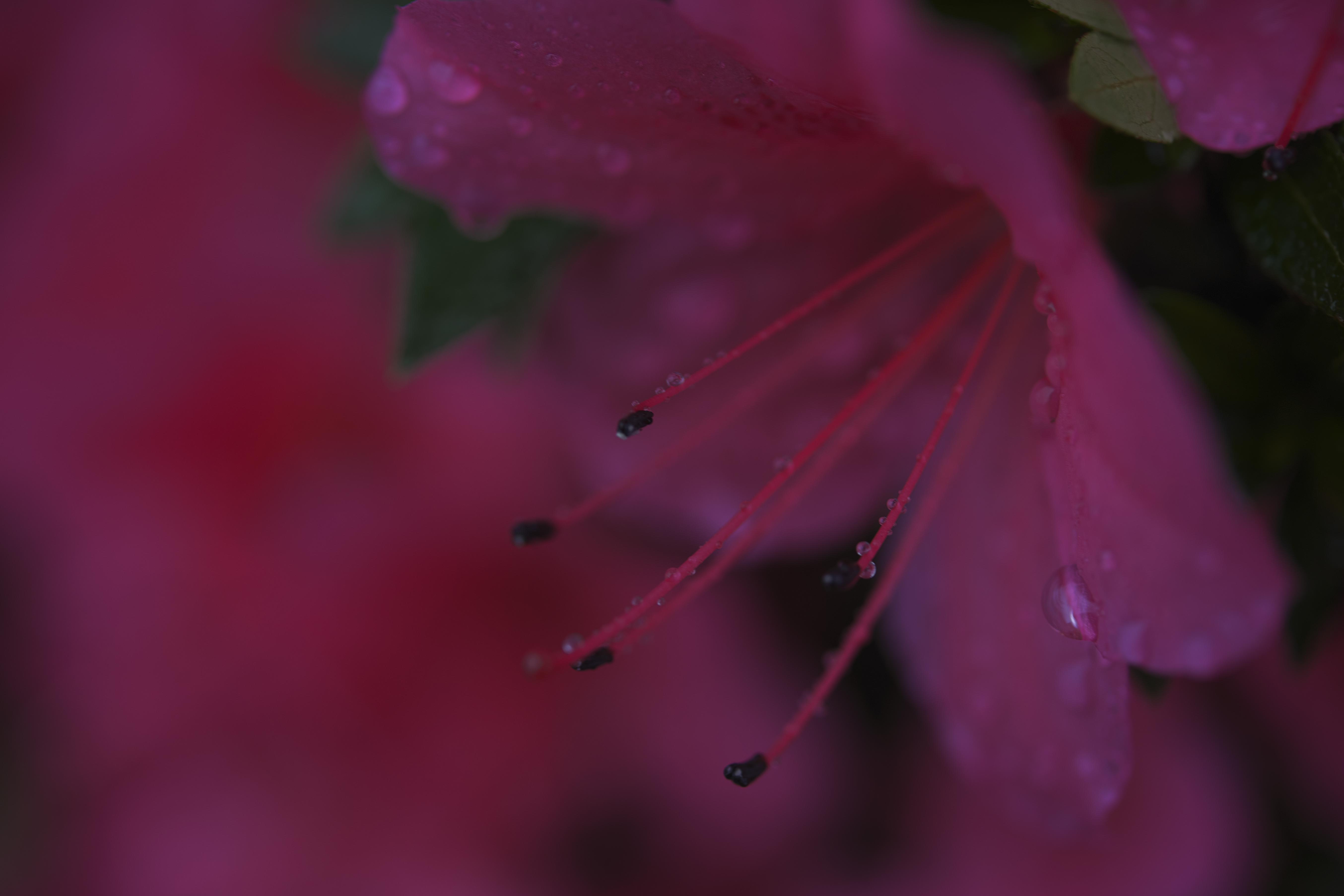 e0342136_11490486.jpg