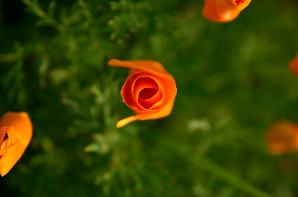 f0207943_14395849.jpg
