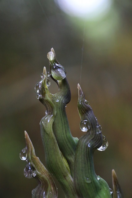f0288049_15023519.jpg