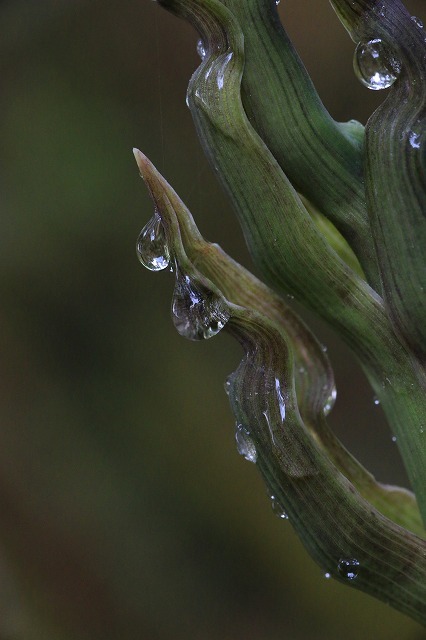 f0288049_15024586.jpg