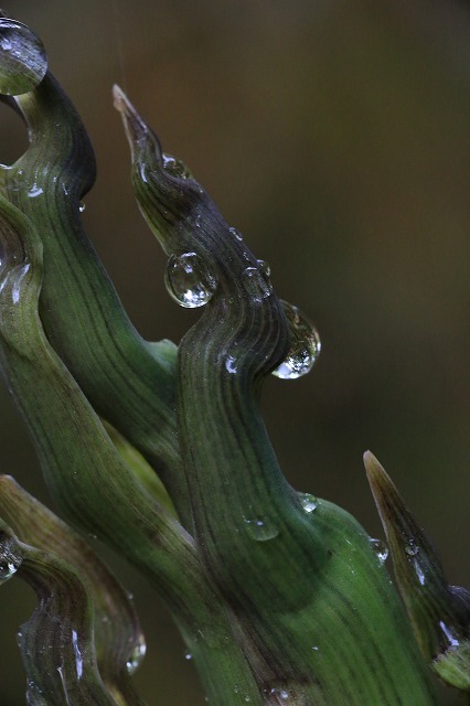f0288049_15025609.jpg