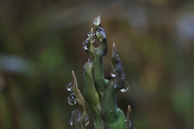 f0288049_15031478.jpg