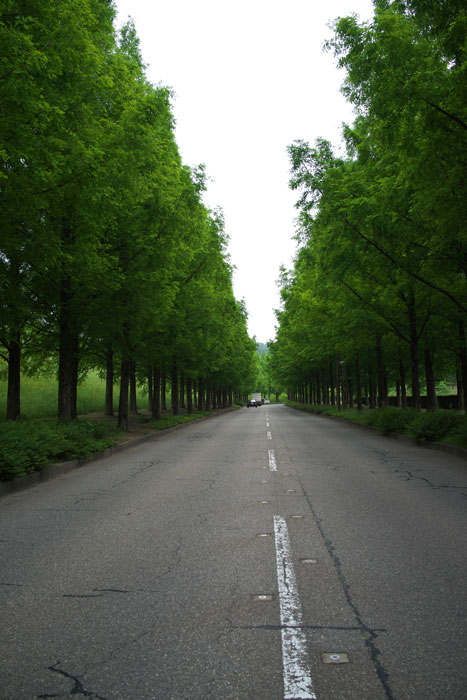 d0342652_2183849.jpg