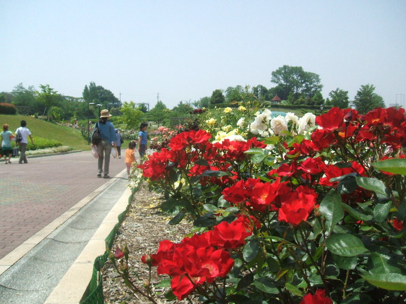 c0074553_639427.jpg
