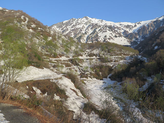 c0116856_20435350.jpg