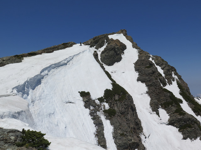 c0116856_20490111.jpg