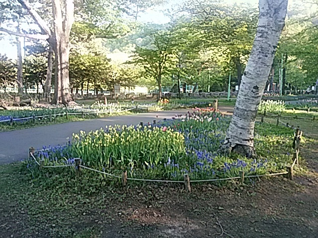 b0102267_03022130.jpg
