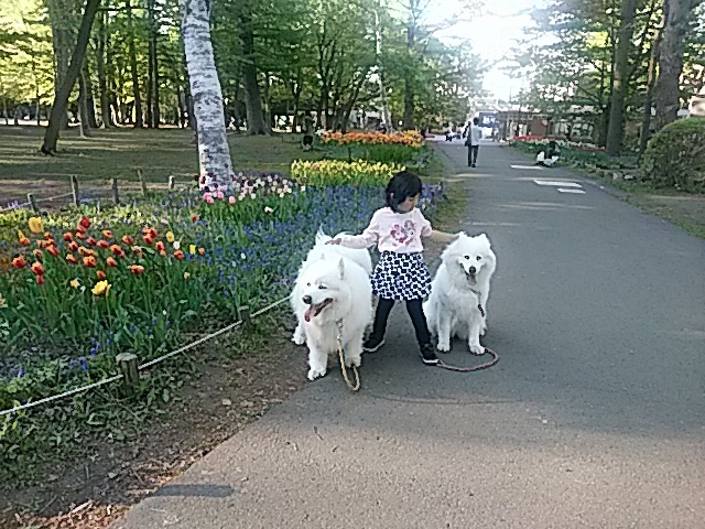 b0102267_03023513.jpg