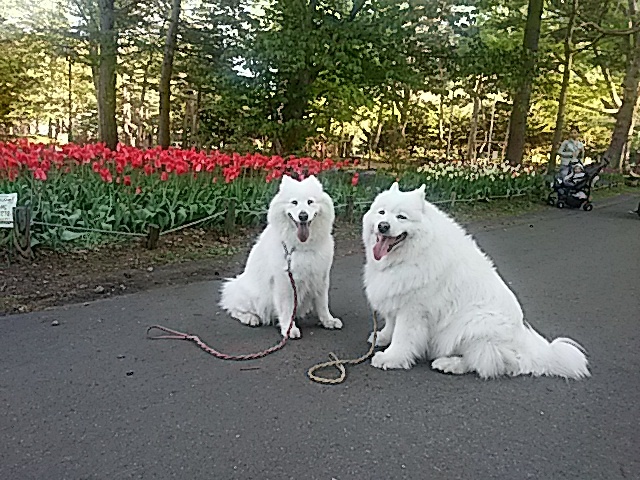 b0102267_03095582.jpg