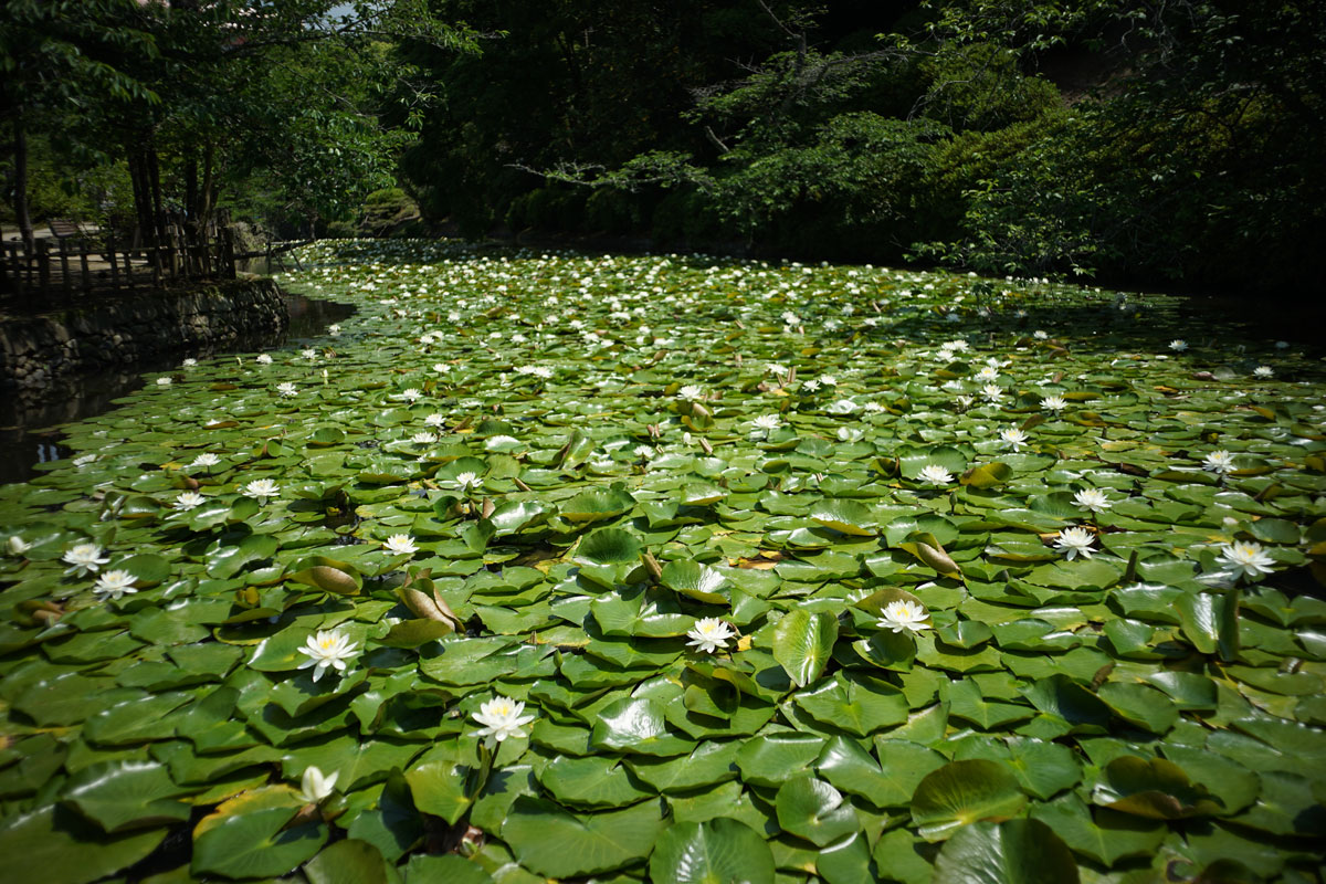 c0086269_1154411.jpg