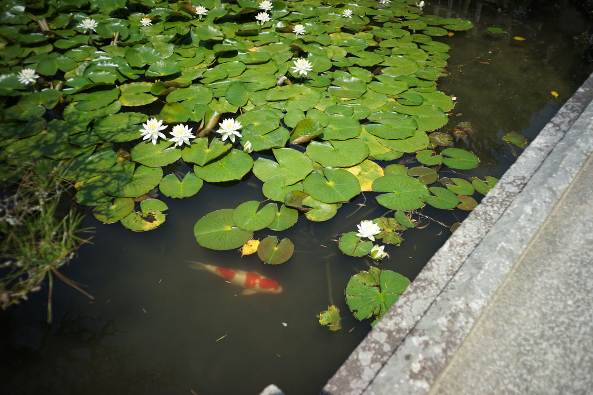 c0086269_11574791.jpg