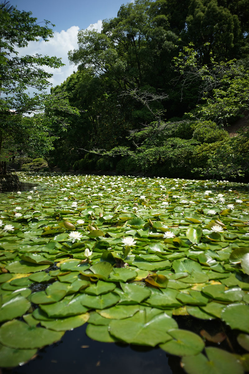 c0086269_1202831.jpg
