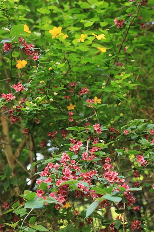 e0304170_19023402.jpg