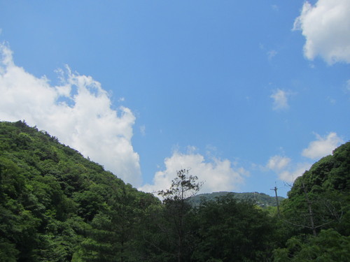a0251786_20291065.jpg