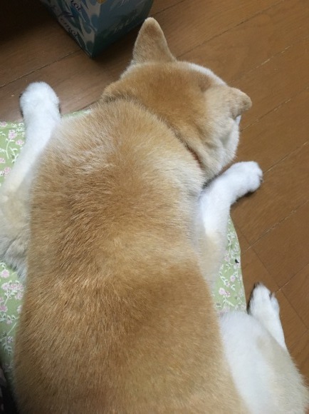c0123890_20453944.jpeg
