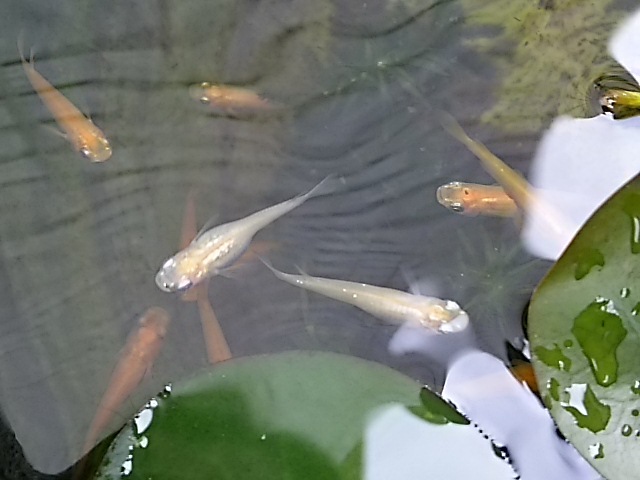 f0303594_22055052.jpg