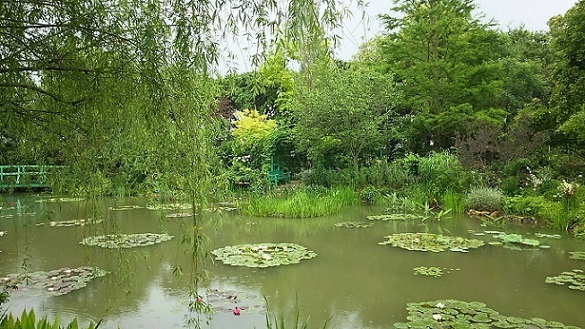 a0337807_19454701.jpg