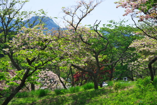 a0263109_15422501.jpg