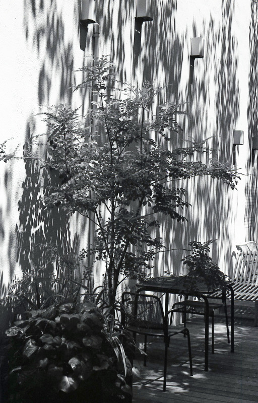 d0339617_17521821.jpg