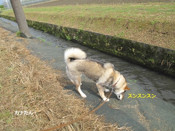 f0143123_08491453.jpg
