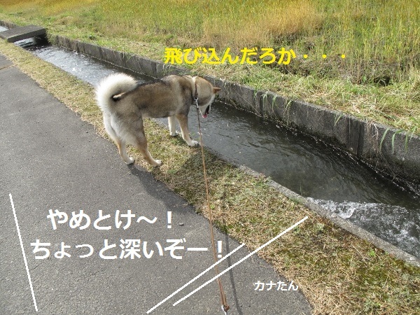 f0143123_08522070.jpg