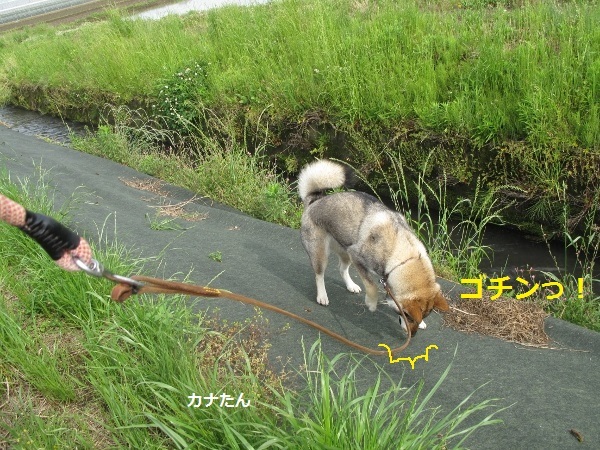 f0143123_08523702.jpg