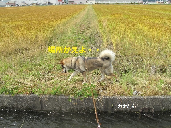 f0143123_08572767.jpg