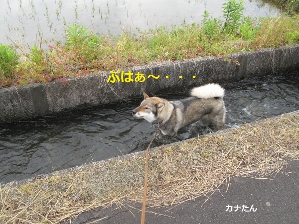 f0143123_08581430.jpg