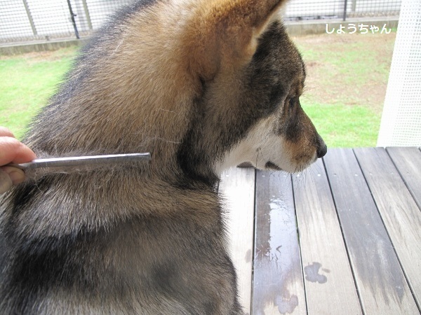 f0143123_09393613.jpg