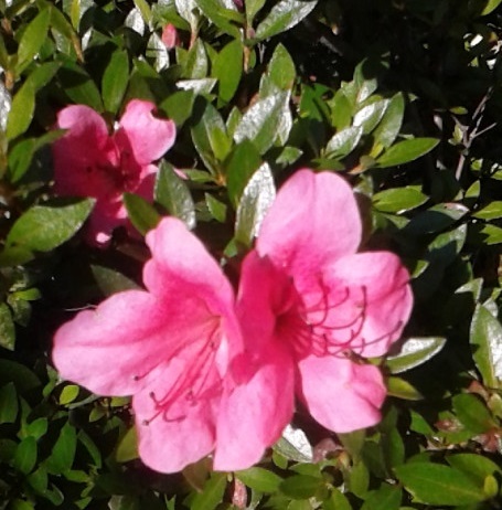 b0366527_09354880.jpg