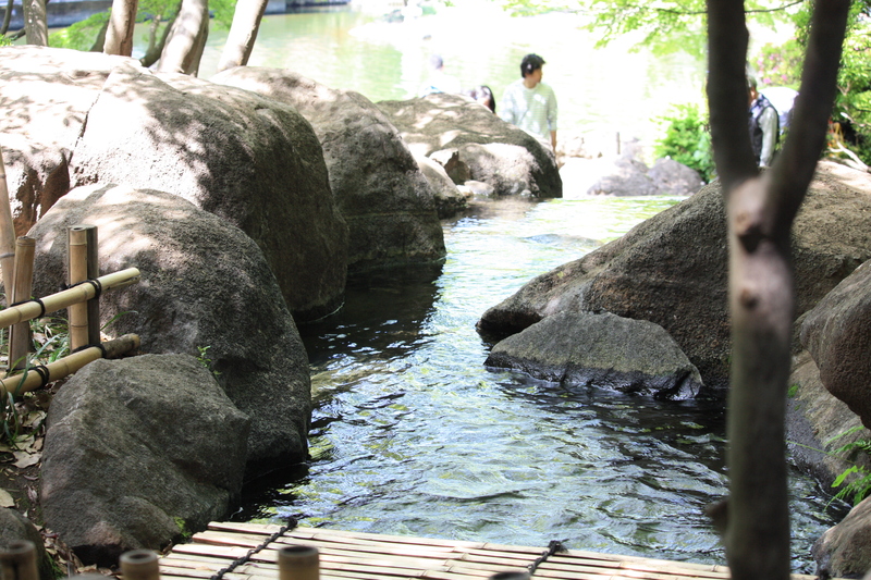 a0214329_2005090.jpg