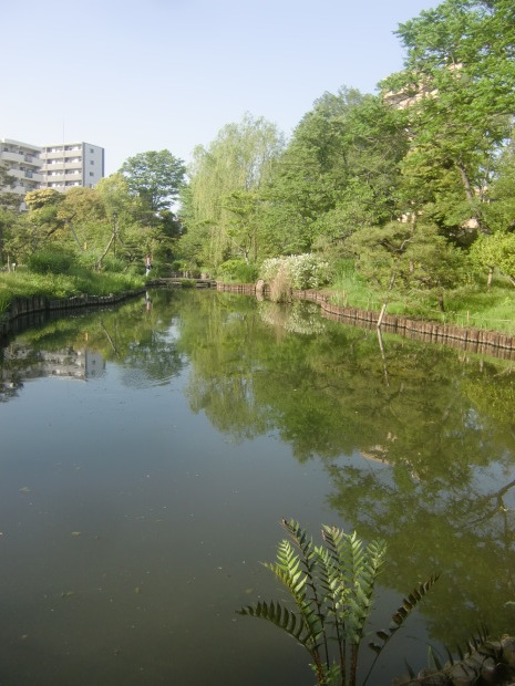 f0329849_22320793.jpg
