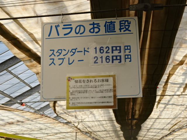 a0241761_15555750.jpg