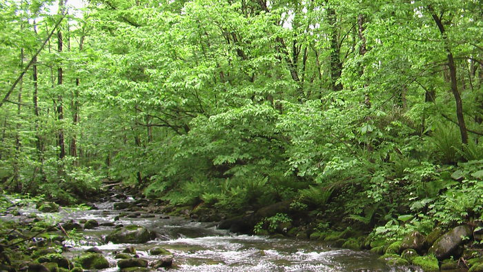 b0208961_19592555.jpg