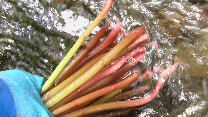 b0208961_2013053.jpg