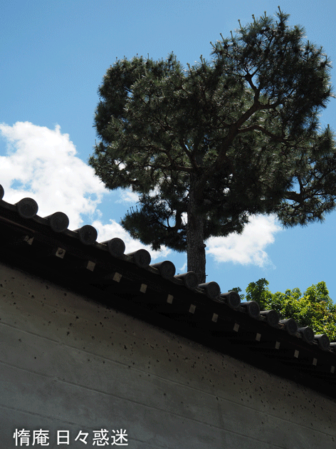 e0346064_16335170.gif
