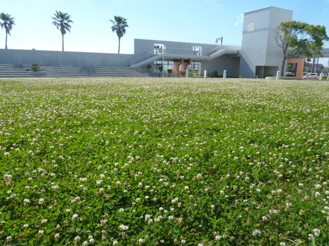 e0278968_21470483.jpg