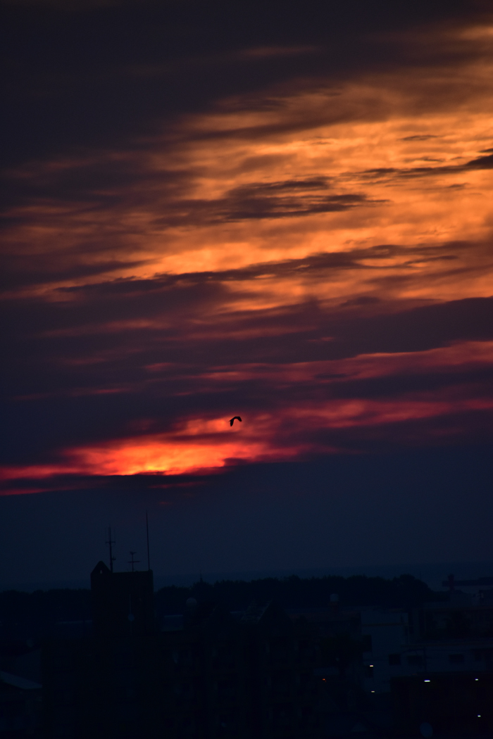 c0049299_21522849.jpg