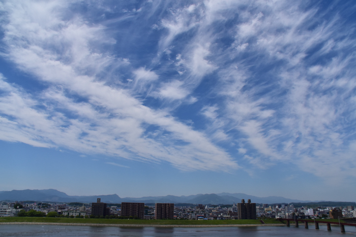 c0049299_22503227.jpg