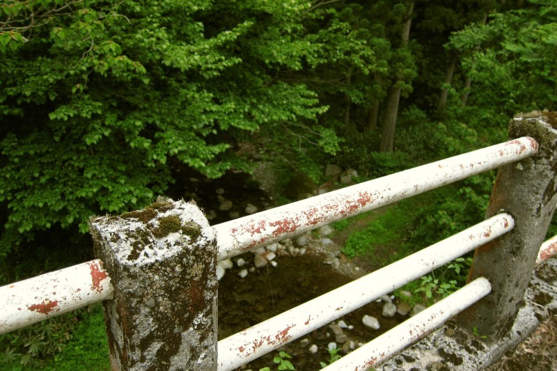 c0005602_13500140.jpg