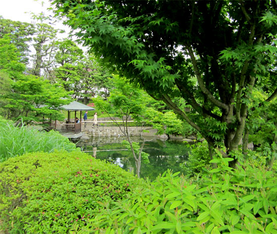 b0255303_1195691.jpg
