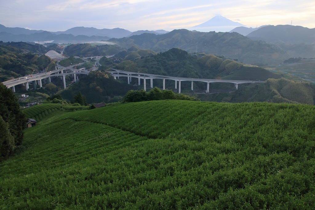a0188405_15450161.jpg