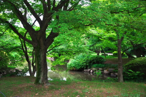 a0263109_15064519.jpg