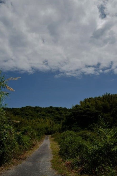 f0365212_16320117.jpg