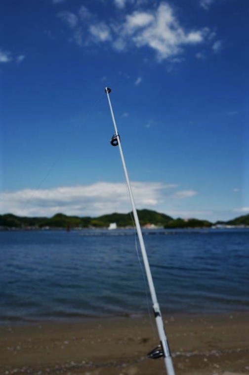 f0365212_16344803.jpg