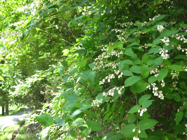 c0352015_22133647.jpg