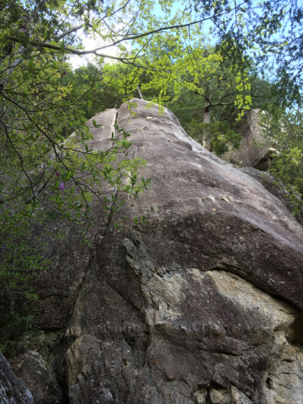 c0210618_22455345.jpg