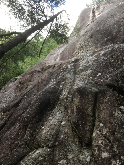 c0210618_22455449.jpg
